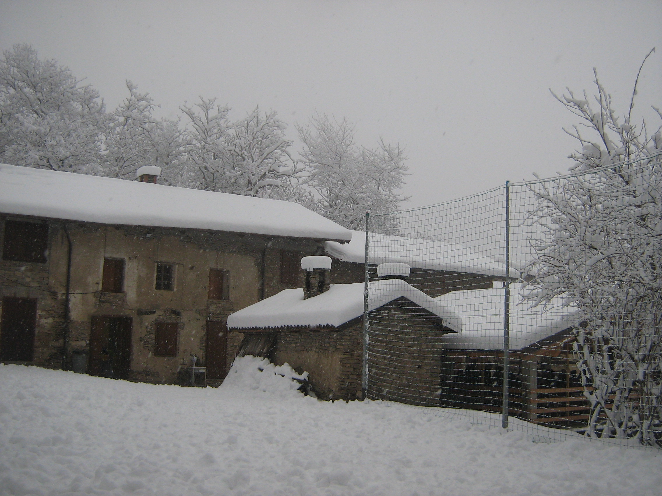 Nevicata 2012